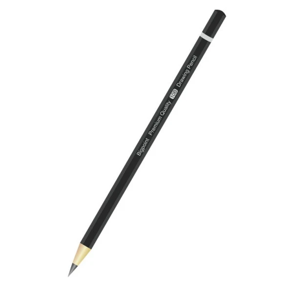 Bigpoint Premium Dereceli Kalem 10B ürün görseli 1