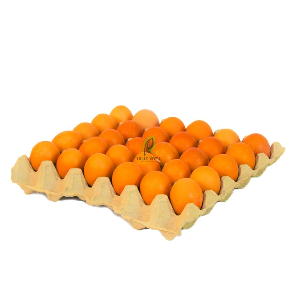 30 LU KARTON YUMURTA VİYOLÜ 18 LBS 50 ADET VİYOL ürün görseli 1