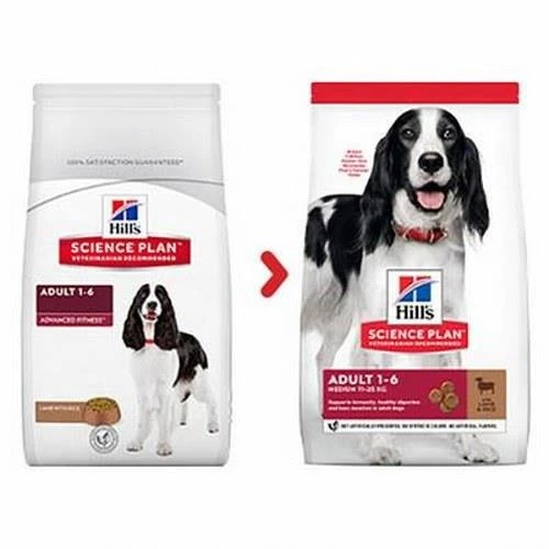 Hills Medium Lamb Orta Irk Kuzulu Yetişkin Köpek Maması 2,5 Kg ürün görseli 1