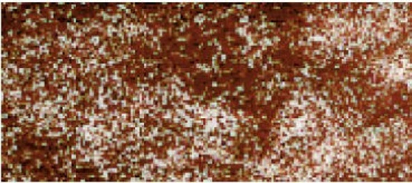 Derwent Drawing Pencil Renkli Çizim Kalemi 6110 Sepia (Red) ürün görseli 1