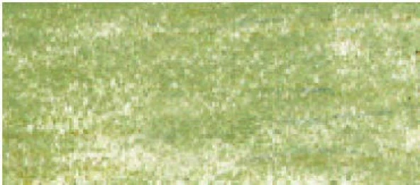 Derwent Drawing Pencil Renkli Çizim Kalemi 5090 Crag Green ürün görseli 1