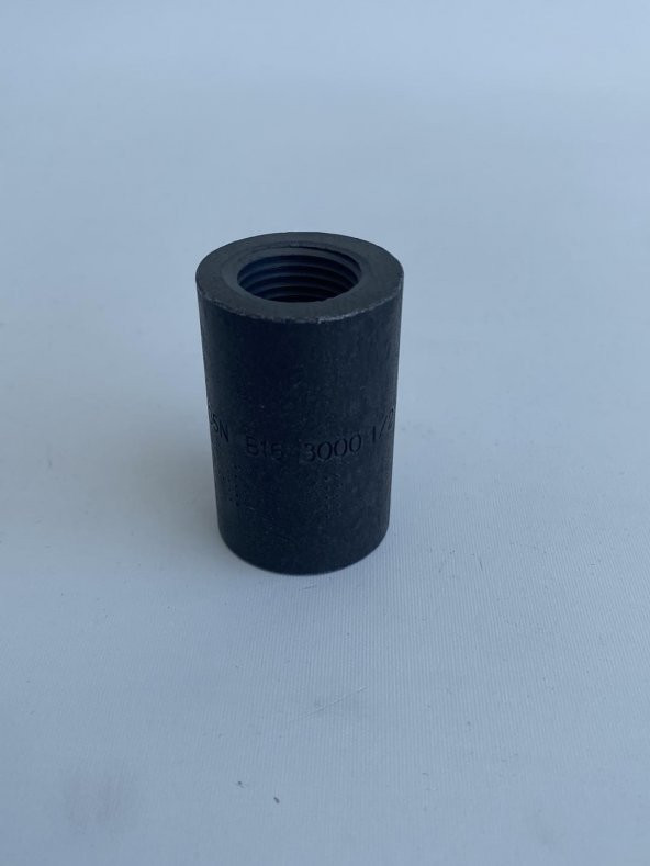 SW/NPT 3000 A105 1/2'' Kaplin - Resim 3