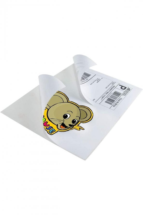 Tanex Bilgisayar Etiketi Tw-2204 105x148,50 Mm 100 Lü Lazer Etiket 1 Paket Davetiye Kargo Etiketi ürün görseli 1