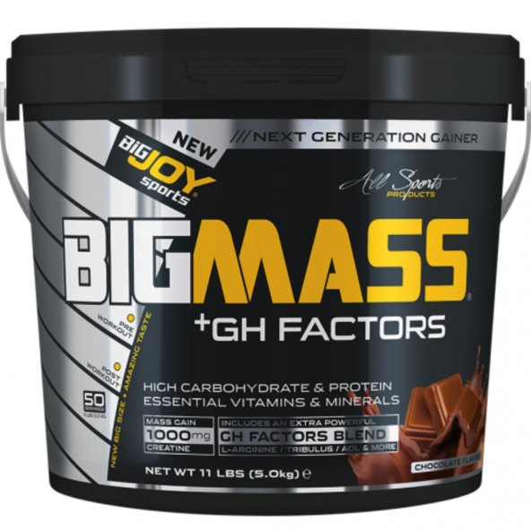 Bigjoy Sports Big Mass 5000 G 50 Saşe Çikolata ürün görseli 1