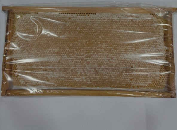 Yedisu Petek Bal 2825 gr ürün görseli 1