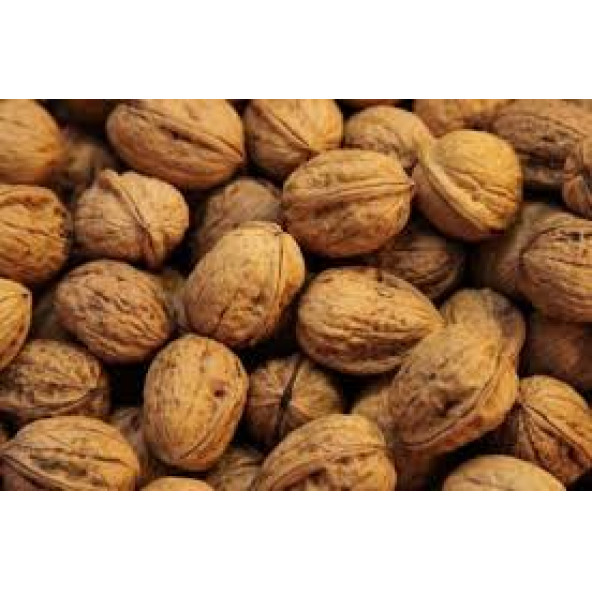 CANLAR Ceviz 3.Kalite 1kg ürün görseli 1