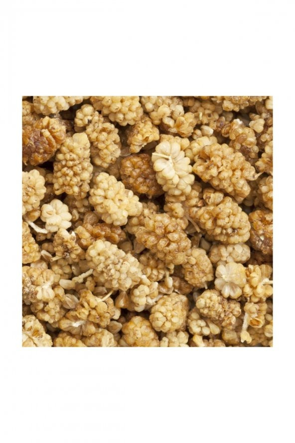 CANLAR Erzincan Dut Kurusu 1 kg - Resim 2