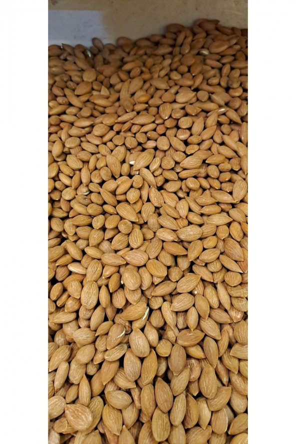 Kayısı Çekirdeği 1kg ürün görseli 1