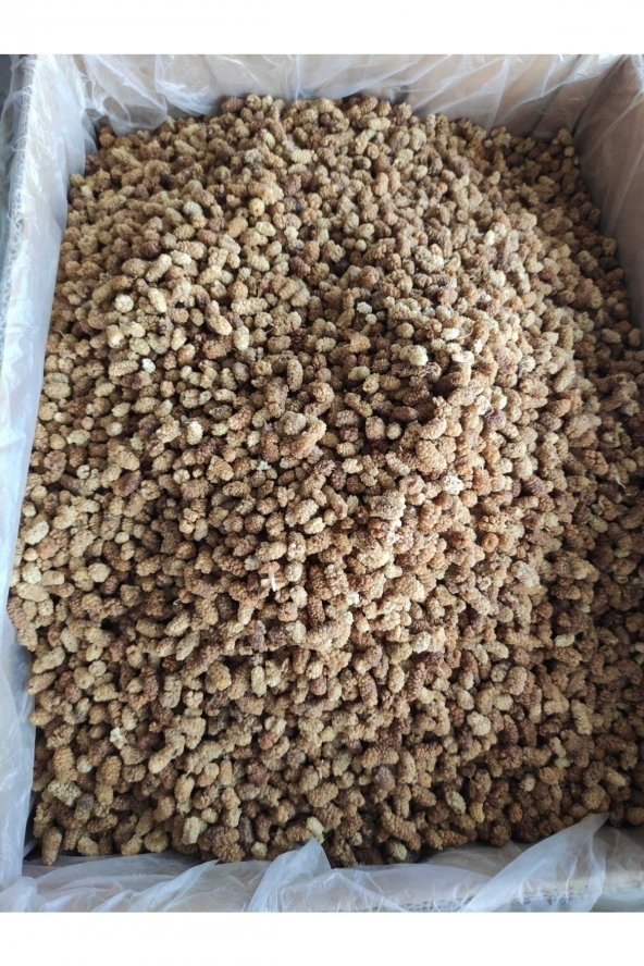 Erzincan Dut Kurusu Organic 1kg Dogal ürün görseli 1