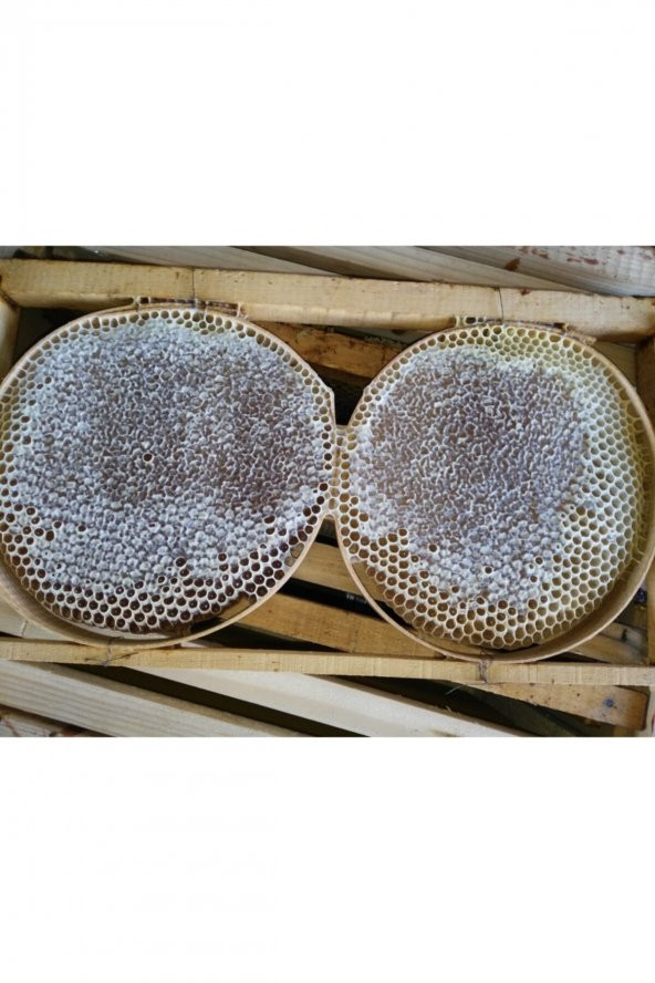 CANLAR Karakovan Bal 2,5 kg ürün görseli 1