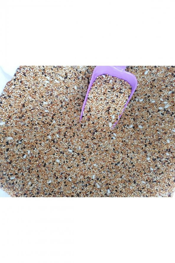 1 Kg Açık Kuş Yemi ürün görseli 1