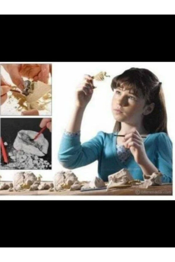 Özcan Tasarım Arkeoloji Kazı Oyuncağı - Dinazor Kazı Oyuncağı - Arkeoloji Oyuncağı ürün görseli 1