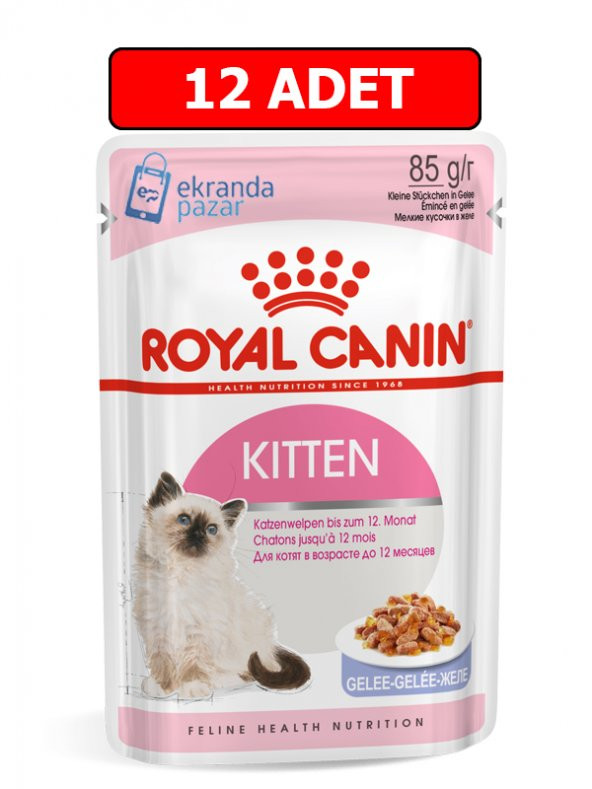 Royal canın yavru kedi yaş mama 12 adet x 85 gr kitten jelly jöleli ürün görseli 1