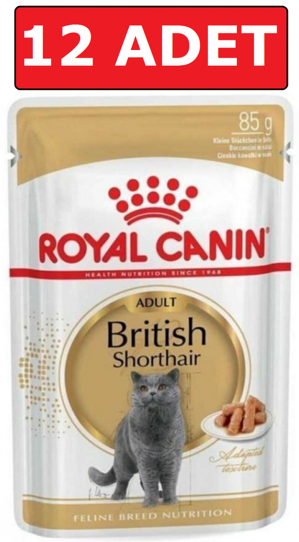 Royal canın british shorthair kedi konservesi pouch 85 gr 12 adet yaş mama ürün görseli 1