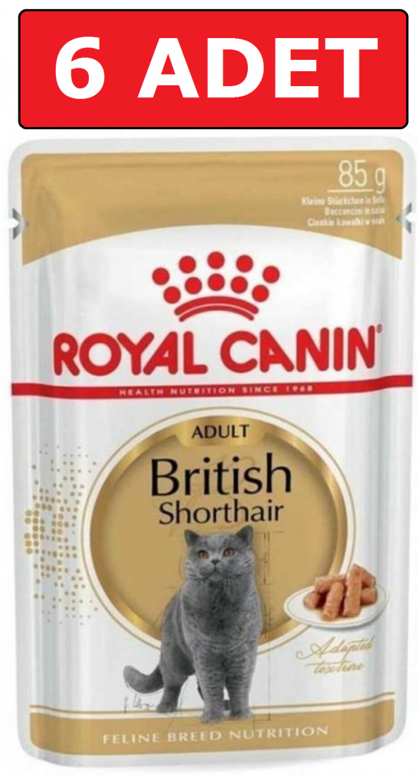 Royal canın british shorthair kedi konservesi pouch 85 gr 6 adet yaş mama ürün görseli 1