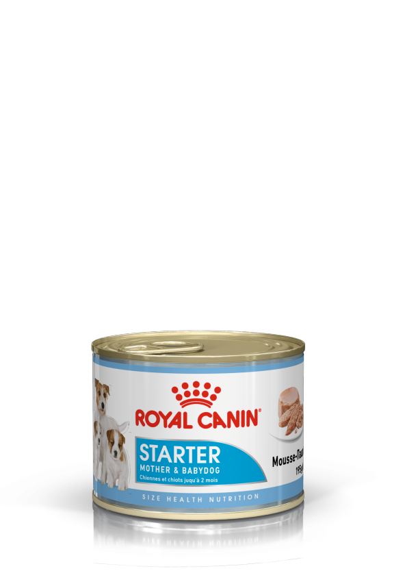 Royal canin starter yavru gebe emziren köpek konservesi 6 adet x 195 gr mother baby dog ürün görseli 1