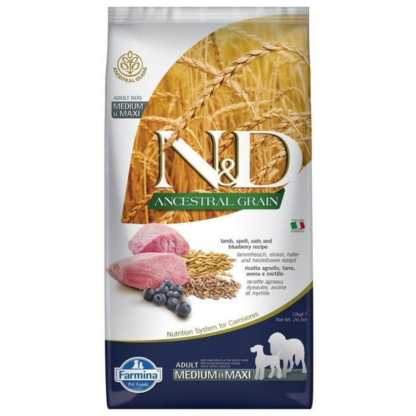 ND ancestral graın düşük tahıllı 12kg medium maxi adult kuzu etli yaban mersini köpek maması ürün görseli 1