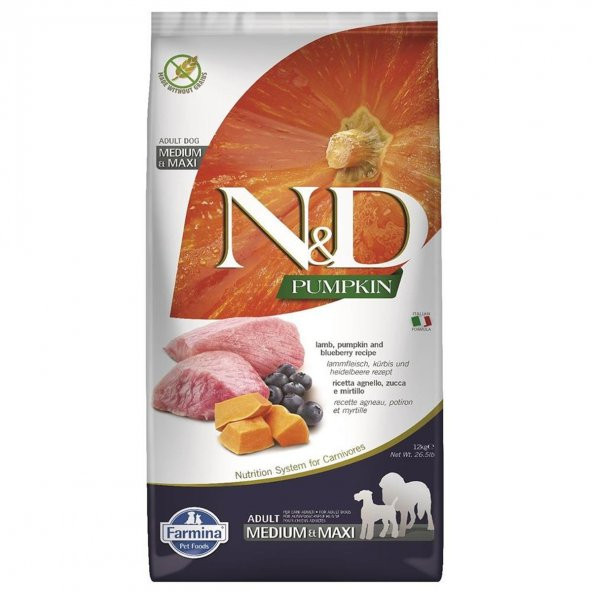 ND pumpkin tahılsız medium maxi adult 12kg balkabaklı kuzulu ve yaban mersinli köpek maması ürün görseli 1