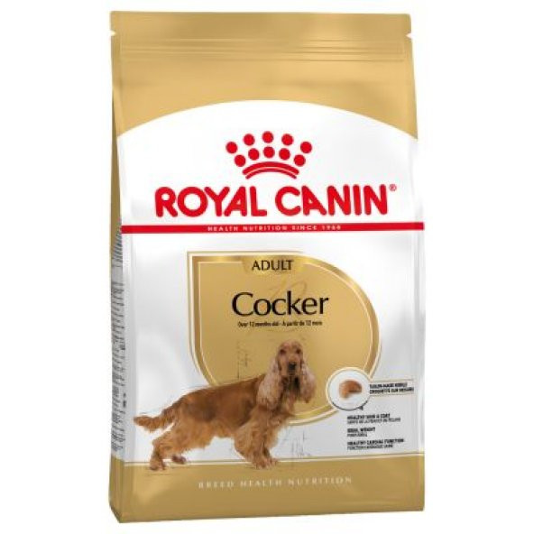 Royal Canin Cocker Adult 3Kg Irka Özel Yetişkin Köpek Maması ürün görseli 1