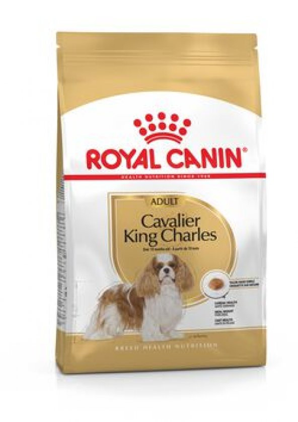 Royal canin cavalier king charles adult 1,5 kg yetişkin köpek maması ürün görseli 1
