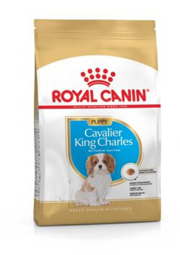 Royal canın 1,5kg cavalier king charles puppy junior yavru köpek maması ürün görseli 1