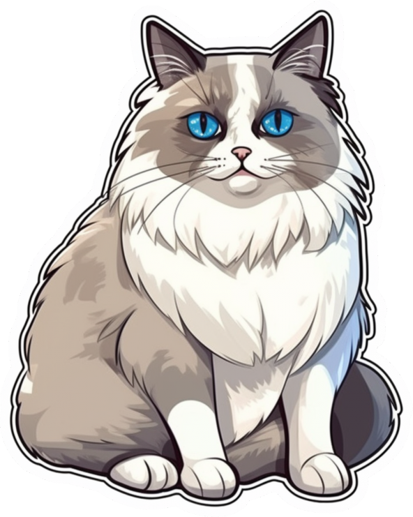 Sticker Master Ragdoll Cat Kedi Kedi Motorsiklet, Kask,Laptop Ve Araç Sticker Etiket 12x15 Cm ürün görseli 1