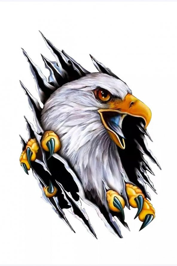 Sticker Master Şahin Kartal Motorsiklet, Kask , Laptop Ve Araç Oto Sticker Etiket Çıkartma 20x13 Cm ürün görseli 1