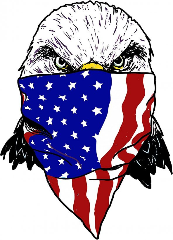 Sticker Master 2 Adet Komik Amerikan Eagle Çıkartmaları Motosiklet Dizüstü Kaykay Bisiklet ürün görseli 1