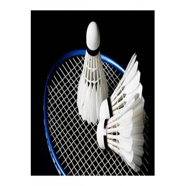 Okare Badminton Filesi 3 M X 75 Cm - 1mm Ip Kalınlığı - 2x2 Göz AralığıFlm86 ürün görseli 1