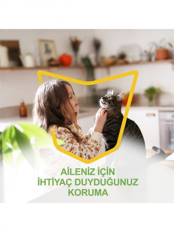 Raid Pure Sinek Öldürücü Kokusuz 300 ml - Resim 3