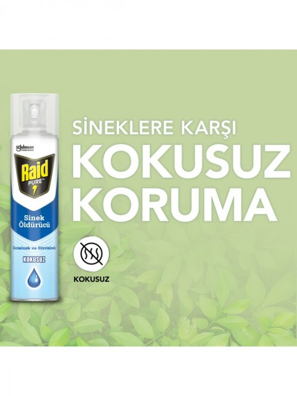 Raid Pure Sinek Öldürücü Kokusuz 300 ml - Resim 5