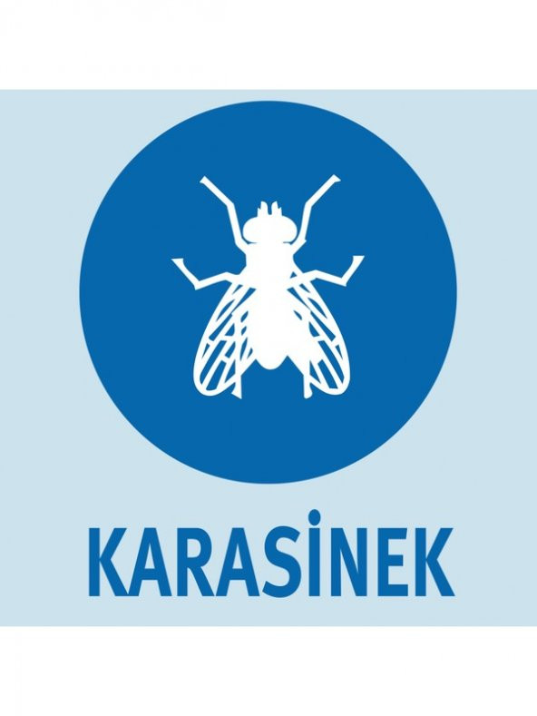 Raid Pure Sinek Öldürücü Kokusuz 300 ml - Resim 6