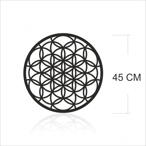 M3 Decorium Kutsal Yaşam Çiçeği Duvar Süsü - Resim 2