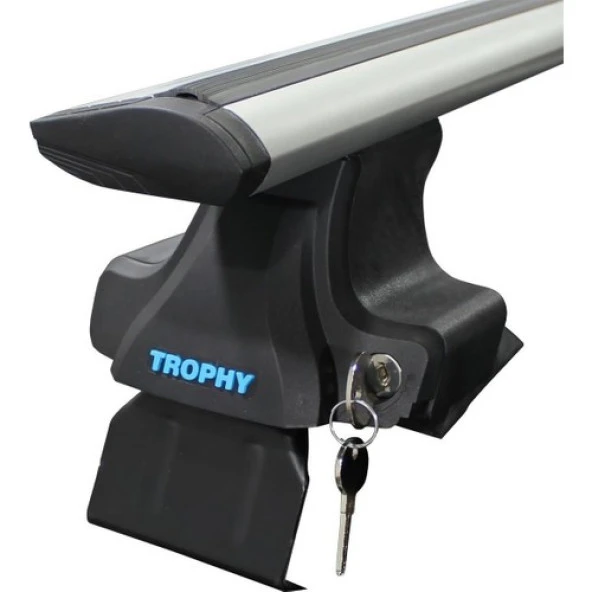 Kolaylı Spider Trophy Ford Fiesta Mk6 Hb 2008-2012 Tavan Taşıma Ara Atkı 130CM ürün görseli 1