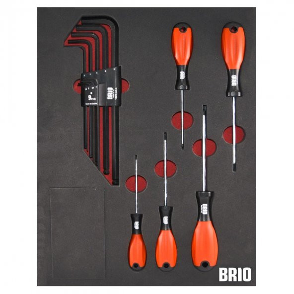 Brio Tornavida Torx (Tork) Seti Ve Allen Seti Uzun 14 Parça Sünger Yataklı ürün görseli 1