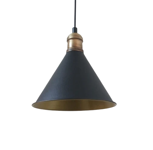 Dylight Retro Metal Siyah İçi Gold Dekoratif Tekli Rustik Sarkıt Avize Çap:17 cm ürün görseli 1