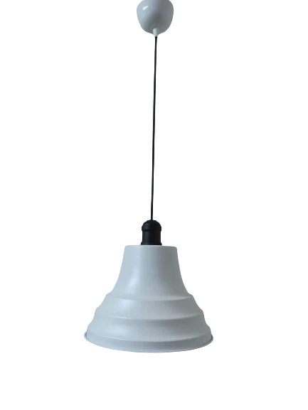 Dylight Retro Metal Siyah Duylu Beyaz içi Beyaz Tekli Sarkıt Avize Çap.27 cm ürün görseli 1