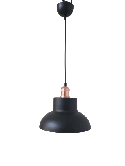 Dylight Retro Metal Siyah  içi Gold Dekoratif Tekli Sarkıt Avize çap.25 cm ürün görseli 1