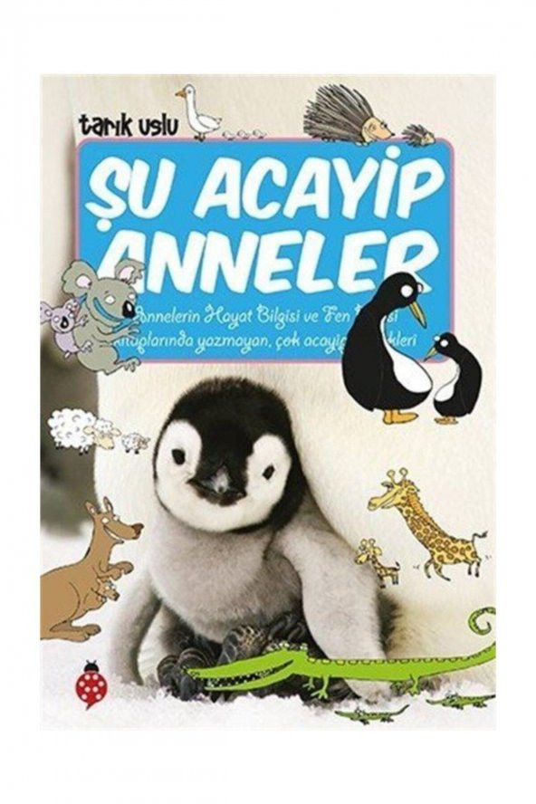 Şu Acayip Anneler / ürün görseli 1