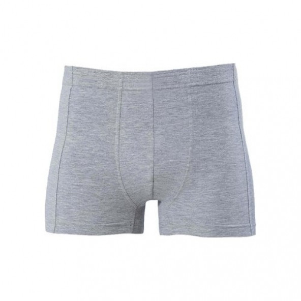 Lonca Tekstil Gri Renk Erkek Boxer Tekli Paket ürün görseli 1