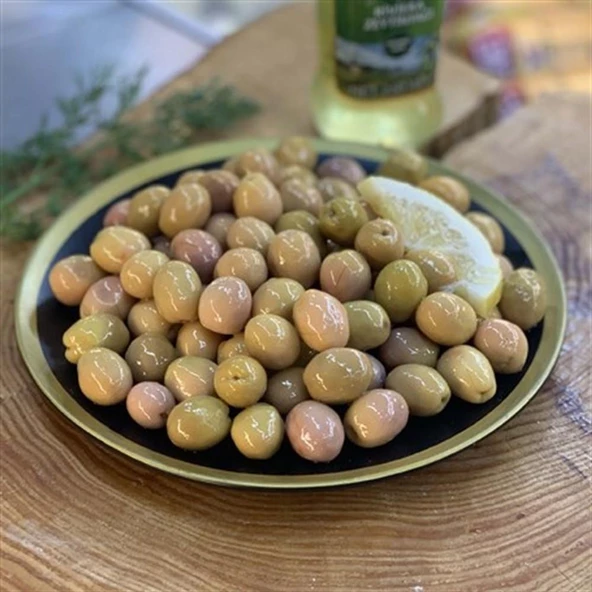 Ayvalık Edremit Zeytin Fidanı (Kırmalık ve Yağlık) ürün görseli 1