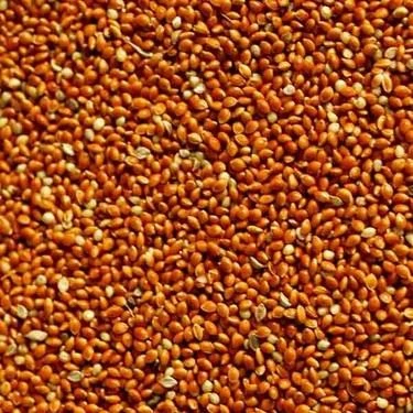 Elenmiş Kızıl Dal Darı 1 kg ürün görseli 1