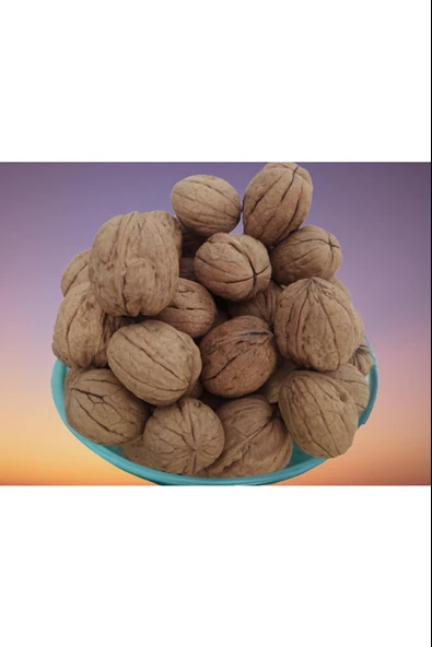 Ceviz 12223 Ince Kabuk Kolay Kırılır Chandler Kendi bahçemizden Doğal Üretim 10Kg ürün görseli 1