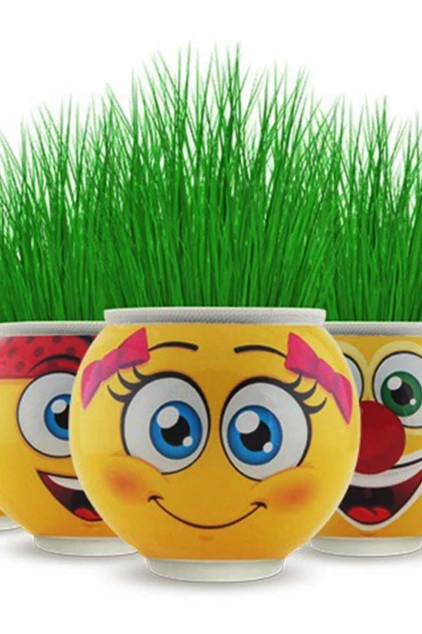 Emoji Çim Adam 4lü Paket (Paket Içinde 4 Adet Mevcuttur.) ürün görseli 1