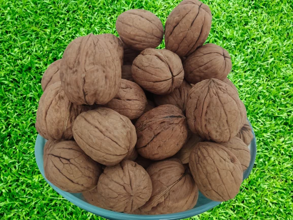 Ceviz 17333 Bahçemizden İnce Kabuklu Kolayca kırılır Chandler Doğal Üretim 3kg ürün görseli 1