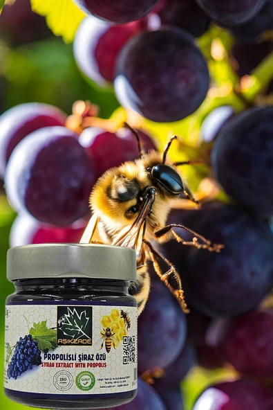 Aşıkzade Propolisli Şiraz Özü 255ml 280g - Resim 2