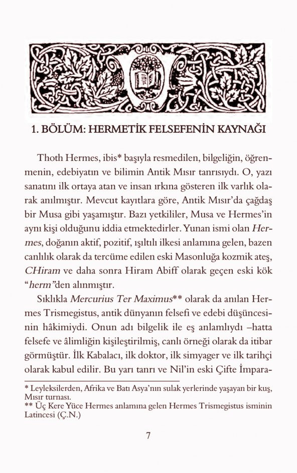 Hermetik Evlilik - Resim 3