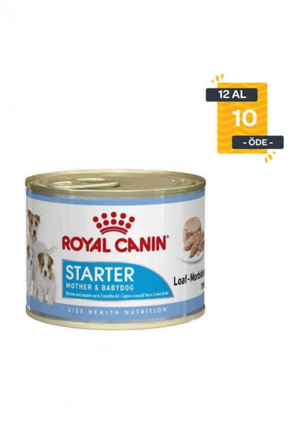 Royal Canin Starter Mousse Yavru Köpek Konservesi 195 Gr X 12 Adet ürün görseli 1