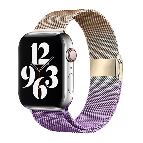 E2M APPLE WATCH 42-44-45-49MM KRD-31 METAL ÇİFT RENKLİ LİLA KORDON ürün görseli 1