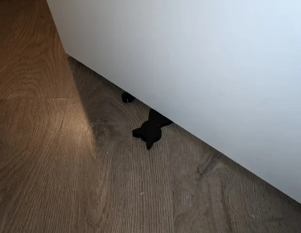 Sıkışmış Kedi Kapı Stoperi - Resim 2